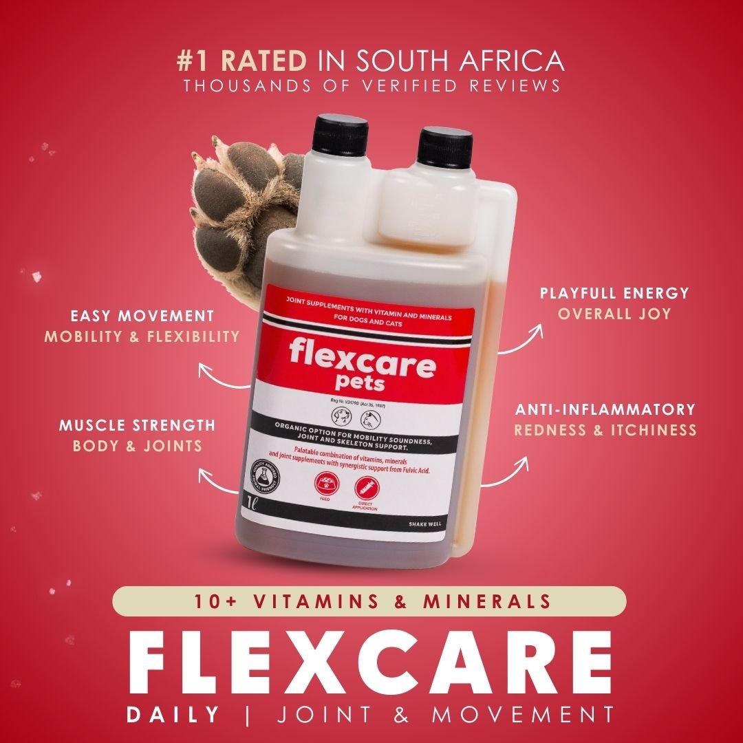 FlexCare (Joint &amp; Movement Support For Dogs) - Camelus - Joint | Mobility | Inflammation | Pain | Discomfort