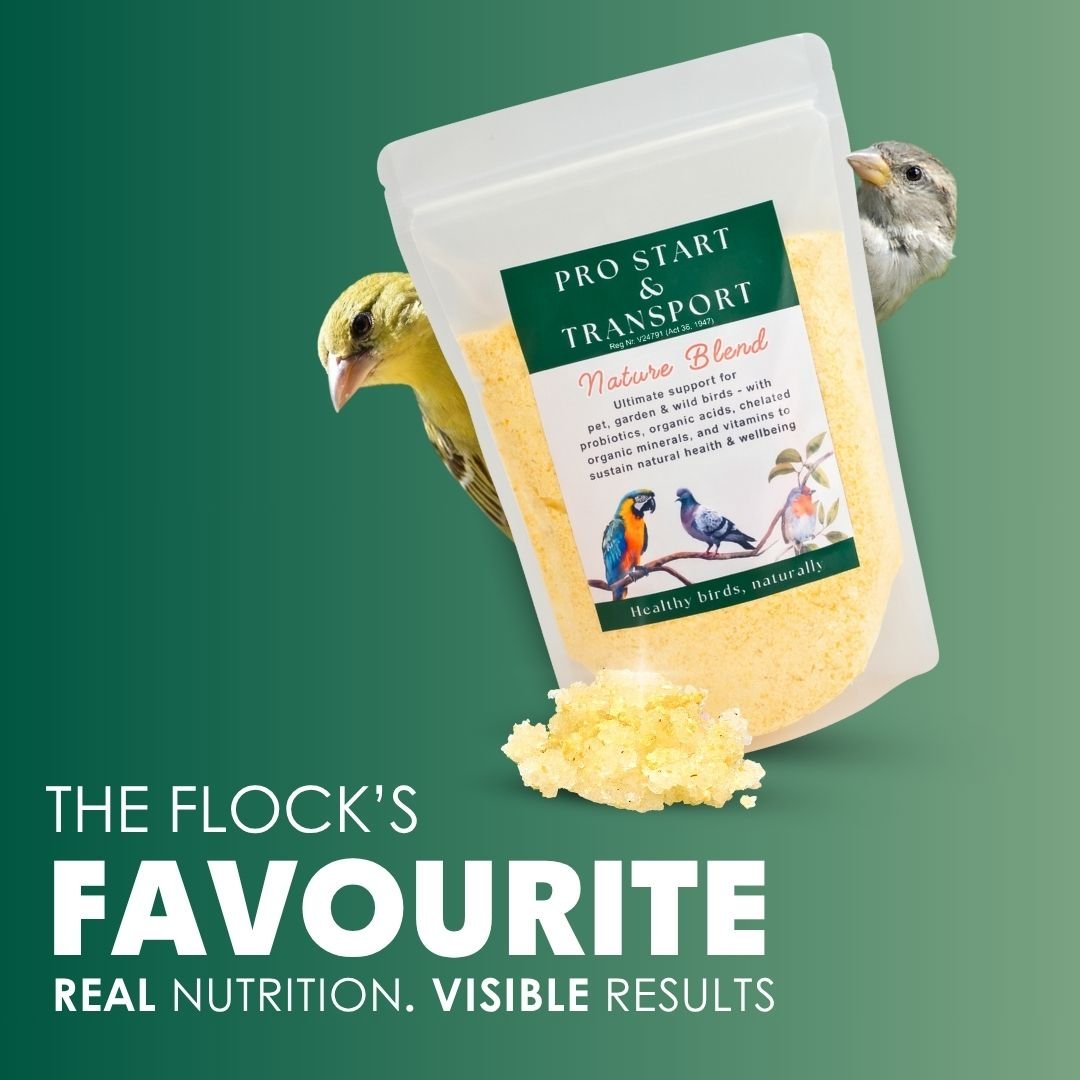 NEW! - Pro Start Nature Blend (25+ Nutrients for Pet &amp; Garden Birds) - Camelus - Feather Shine | Energy | Hydration | Immunity | Gut Health | Fertility