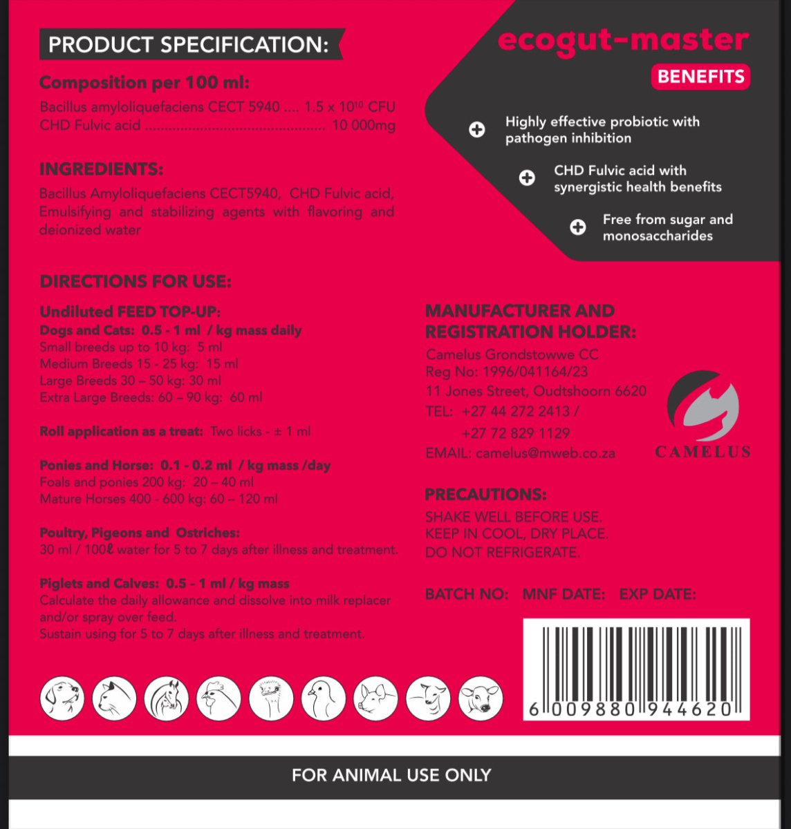 EcoGut Master – Liquid Probiotic &amp; Gut Support for Dogs - Camelus - HEALTHY STOOLS | GUT BALANCE | BETTER ABSORPTION | DAILY WELLBEING