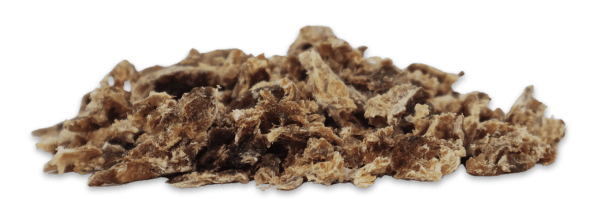 Meat For Treats - Premium Pet Treat Bundle - Camelus - Camelus