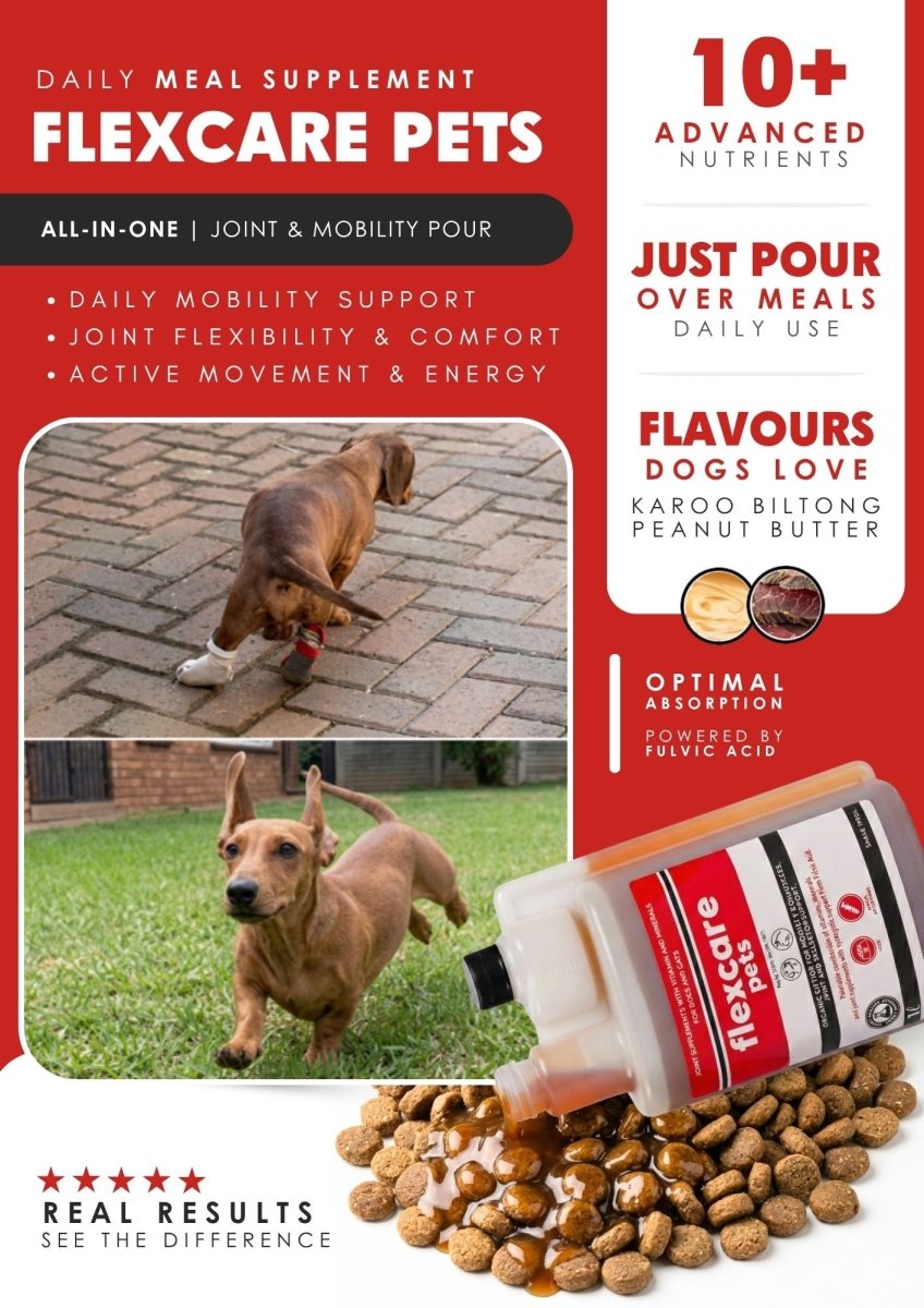 FlexCare (Joint & Movement Support For Dogs) - Camelus - Joint | Mobility | Inflammation | Pain | Discomfort