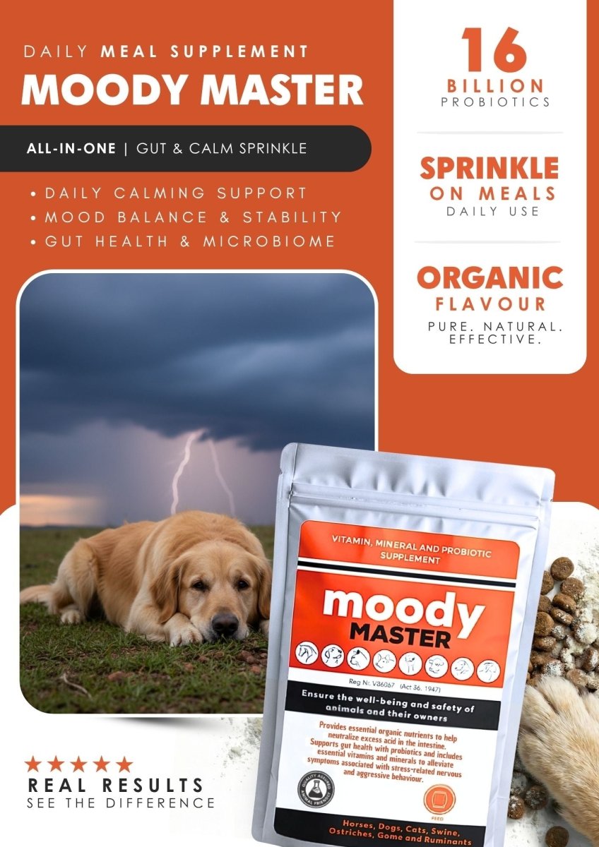 Moody Master (Stress, Anxiety & Mood Support for Cats & Dogs) - Camelus - Anxiety | Stress | Barking | Gut Health | Probiotic