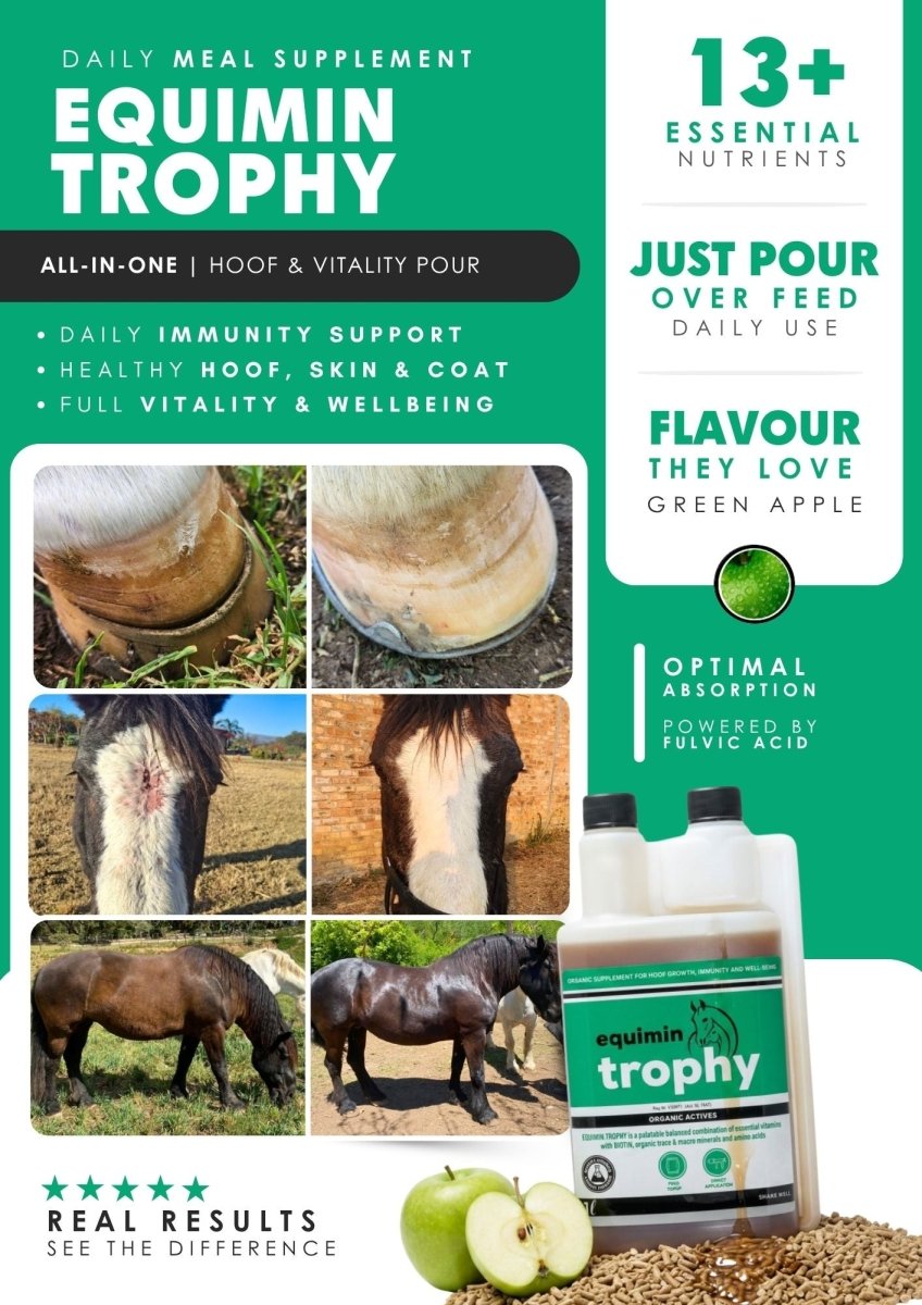 Equimin Trophy (Supplement For Horses & Game) - Camelus - Hoof Health | Fertility | Immunity | Growth | General Well - Being