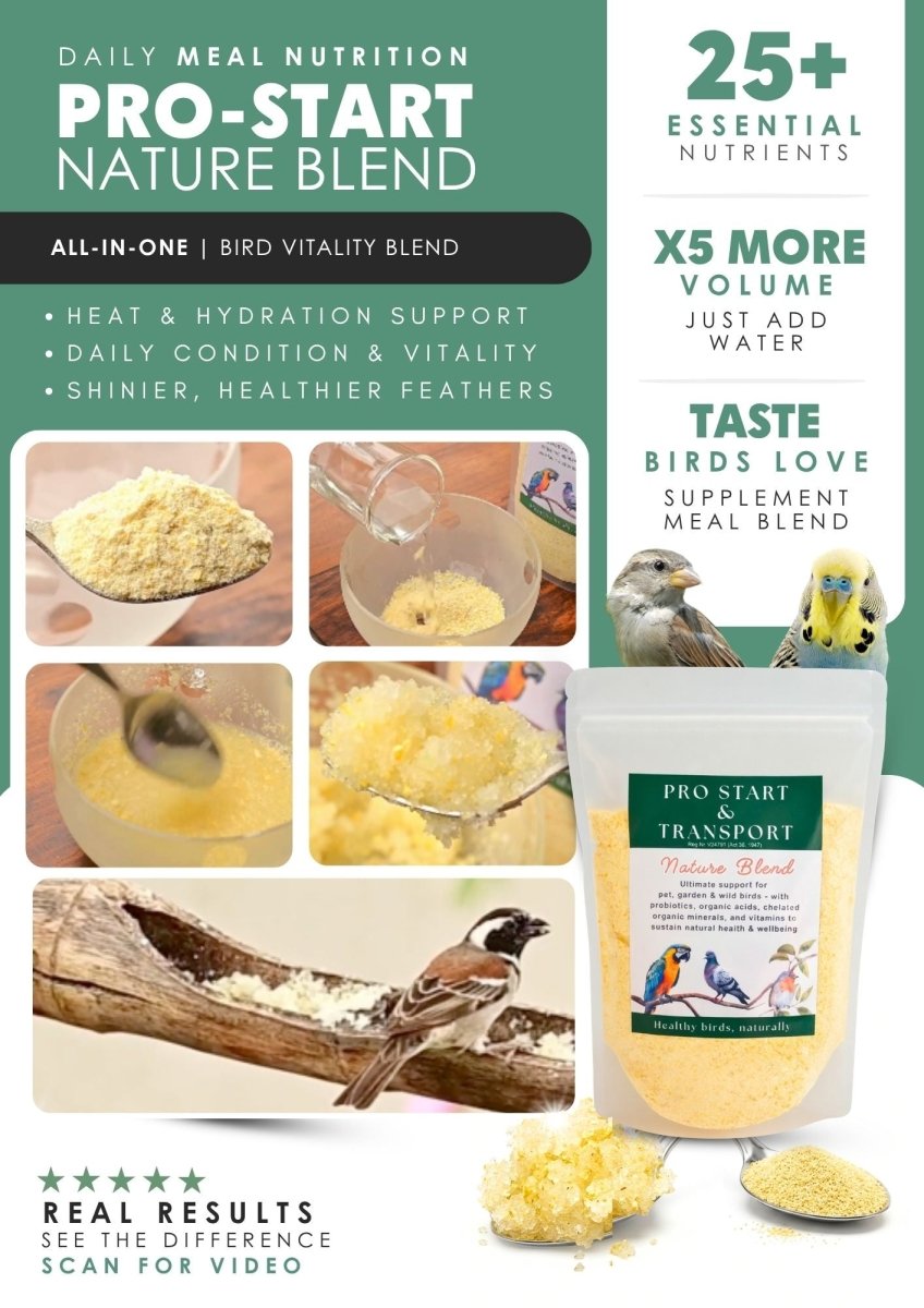 Pro Start Nature Blend (Supplement Feed for Birds &amp; Poultry) - Camelus - Feather Shine | Energy | Hydration | Immunity | Gut Health | Fertility