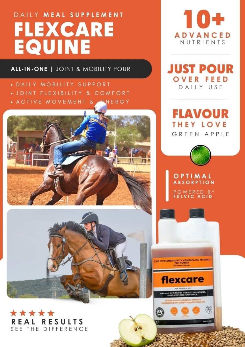 Ultimate Equine Care Combo (Daily Vitality, Mobility, Recovery & Calmness) - Camelus - FlexCare | ElectroCare | Trophy | Moody Master