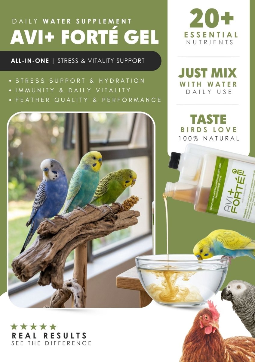 Avi Forte (Performance, Immunity &amp; Feather Health for Poultry &amp; All Bird Species) - Camelus - Performance | Endurance | Stress Support | Feather Quality | Immunity &amp; Vitality