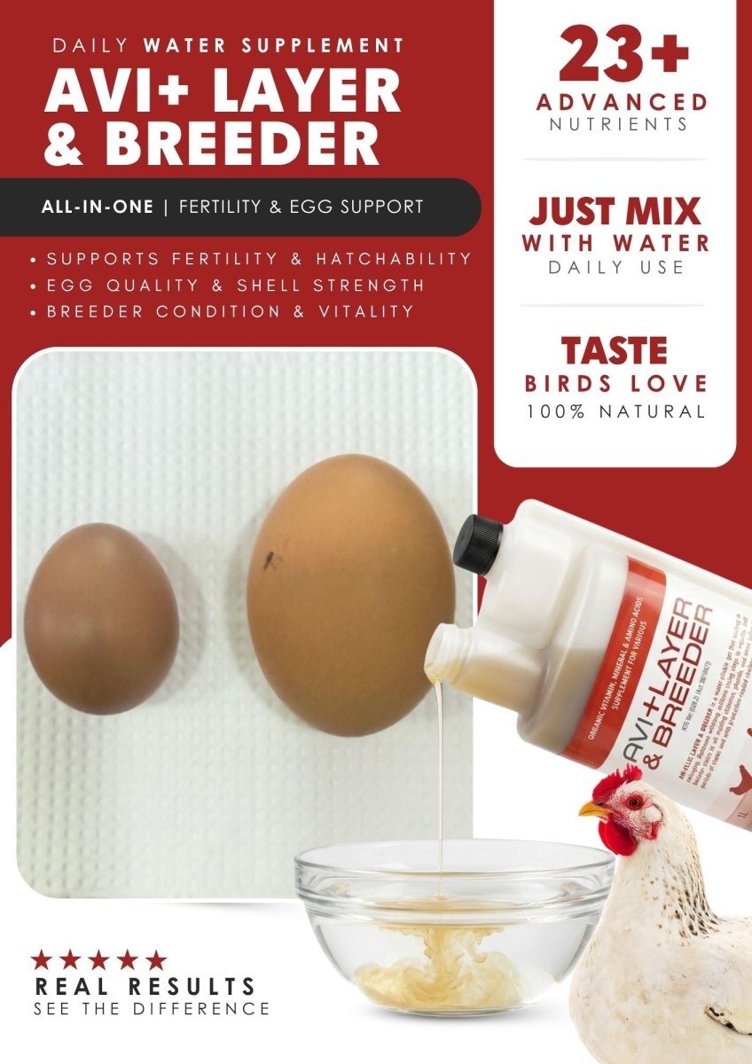 Avi Layer &amp; Breeder (Fertility, Egg Quality &amp; Skeletal Support for All Birds) - Camelus - Fertility | Hatchability | Immunity | Skeletal Support