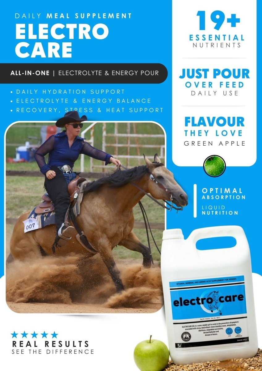 ElectroCare (Hydration & Recovery Support for Horses) - Camelus - Hydrate | Recover | Balance | Energise