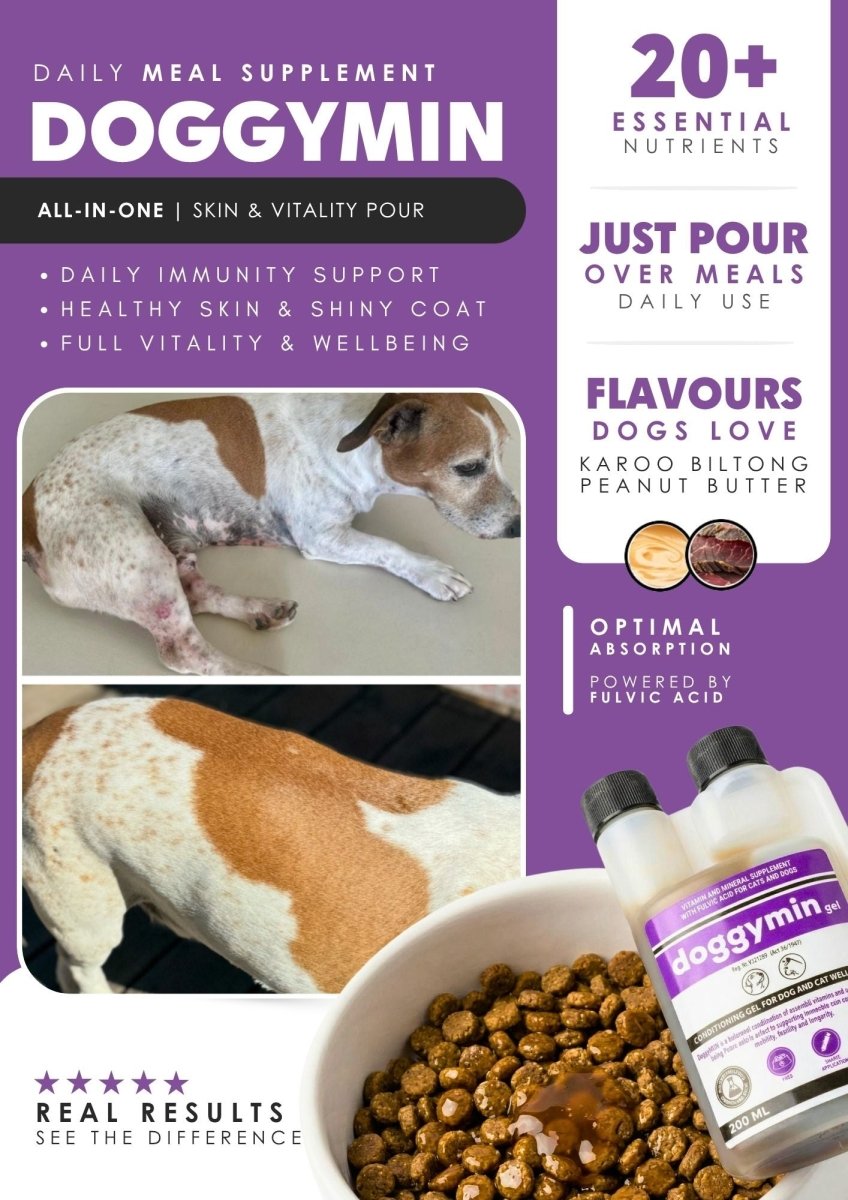 Doggymin (Skin & Immunity Support For Dogs) - Camelus - Skin Conditioning | Longevity | Mobility | Fertility | Immunity