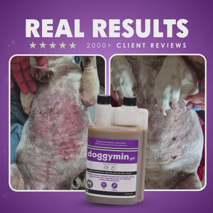 Doggymin (Skin & Immunity Support For Dogs)