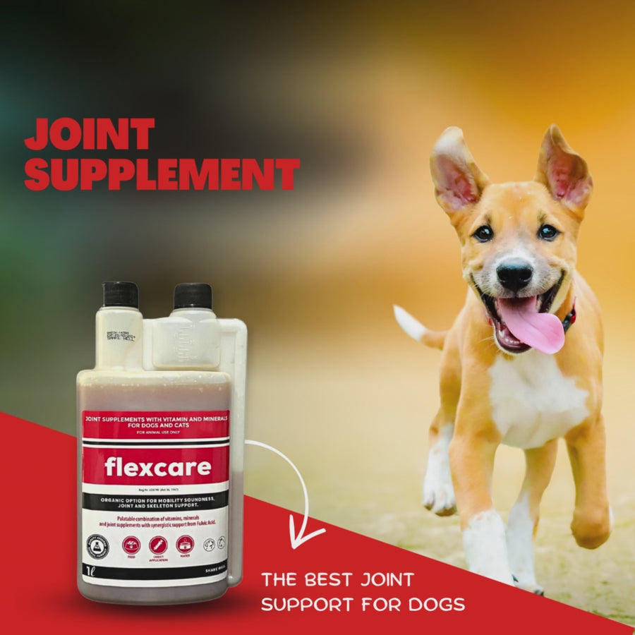 Flexcare (Joint Supplement For Dogs & Cats)